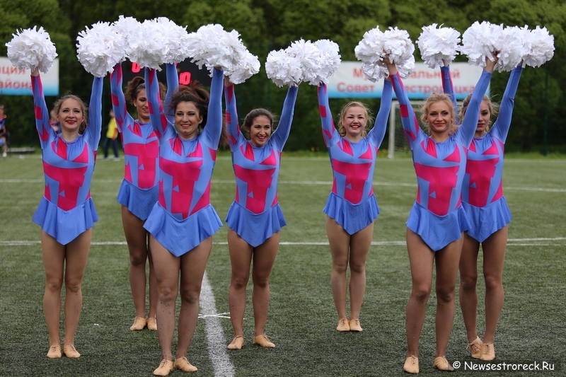 В Сестрорецке прошел открытый Кубок по черлидингу «CHEER OPEN - 2015» В Сестрорецке прошел открытый Кубок по черлидингу «CHEER OPEN - 2015»