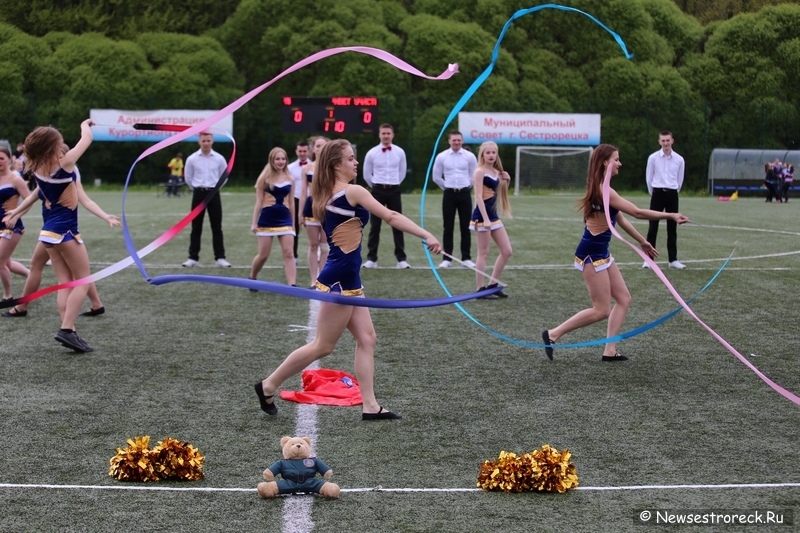 В Сестрорецке прошел открытый Кубок по черлидингу «CHEER OPEN - 2015» В Сестрорецке прошел открытый Кубок по черлидингу «CHEER OPEN - 2015»