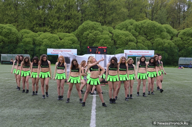 В Сестрорецке прошел открытый Кубок по черлидингу «CHEER OPEN - 2015» В Сестрорецке прошел открытый Кубок по черлидингу «CHEER OPEN - 2015»