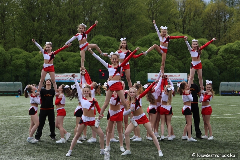 В Сестрорецке прошел открытый Кубок по черлидингу «CHEER OPEN - 2015» В Сестрорецке прошел открытый Кубок по черлидингу «CHEER OPEN - 2015»