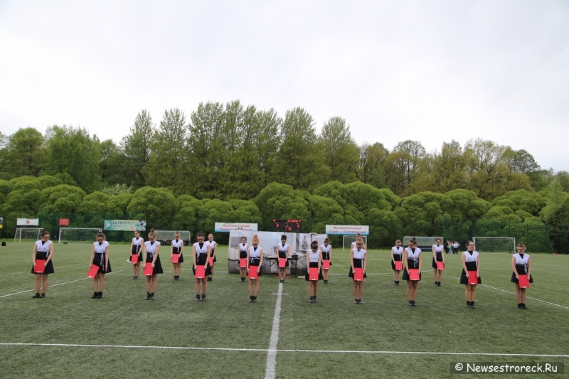 В Сестрорецке прошел открытый Кубок по черлидингу «CHEER OPEN - 2015» В Сестрорецке прошел открытый Кубок по черлидингу «CHEER OPEN - 2015»