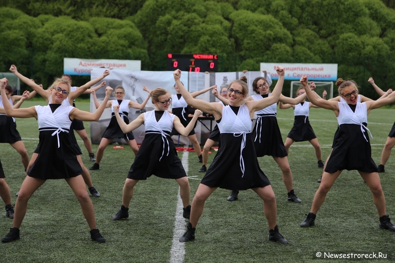 В Сестрорецке прошел открытый Кубок по черлидингу «CHEER OPEN - 2015» В Сестрорецке прошел открытый Кубок по черлидингу «CHEER OPEN - 2015»