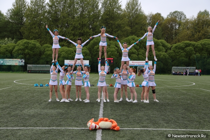 В Сестрорецке прошел открытый Кубок по черлидингу «CHEER OPEN - 2015»