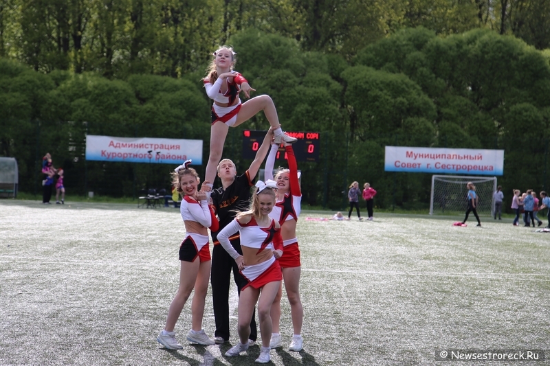 В Сестрорецке прошел открытый Кубок по черлидингу «CHEER OPEN - 2015» В Сестрорецке прошел открытый Кубок по черлидингу «CHEER OPEN - 2015»