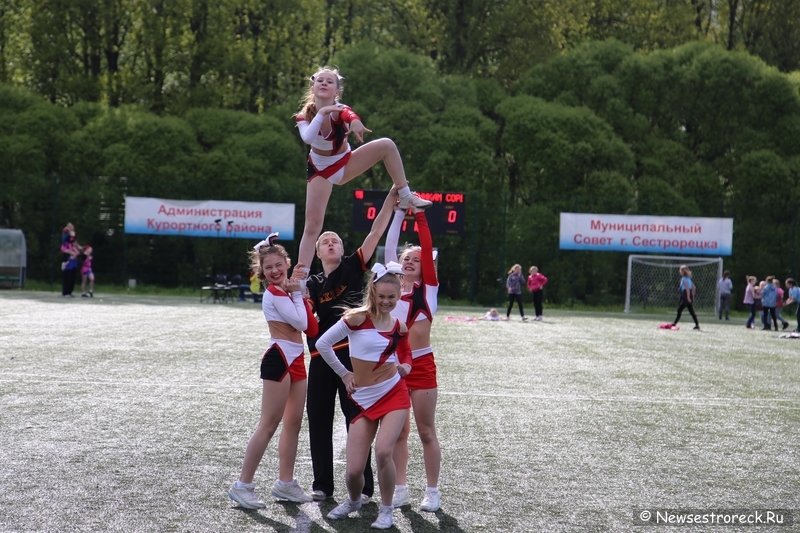 В Сестрорецке прошел открытый Кубок по черлидингу «CHEER OPEN - 2015»