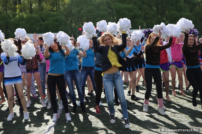 В Сестрорецке прошел открытый Кубок по черлидингу «CHEER OPEN - 2015» В Сестрорецке прошел открытый Кубок по черлидингу «CHEER OPEN - 2015»