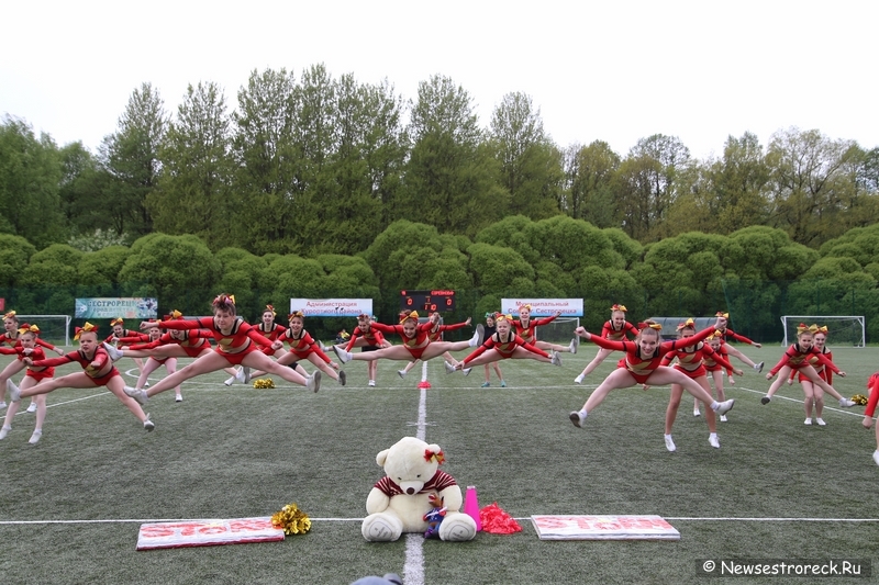 В Сестрорецке прошел открытый Кубок по черлидингу «CHEER OPEN - 2015» В Сестрорецке прошел открытый Кубок по черлидингу «CHEER OPEN - 2015»