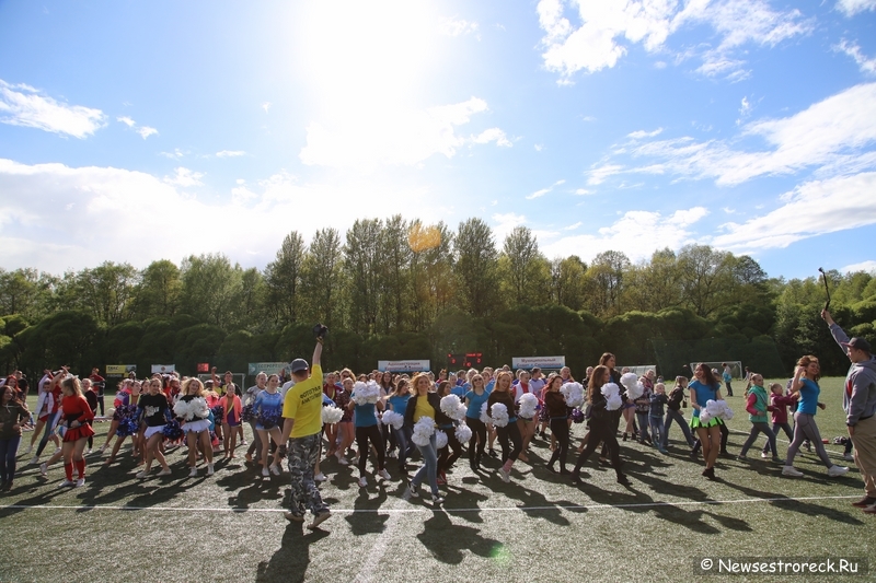 В Сестрорецке прошел открытый Кубок по черлидингу «CHEER OPEN - 2015» В Сестрорецке прошел открытый Кубок по черлидингу «CHEER OPEN - 2015»