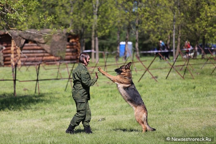 В Сестрорецке отметили День пограничника 2015