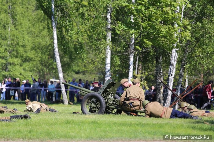 В Сестрорецке отметили День пограничника 2015