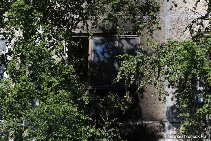 В Сестрорецке горело общежитие на ул.Борисова д.8