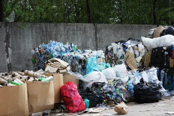 В Сестрорецке прошла первая акция по раздельному сбору мусора