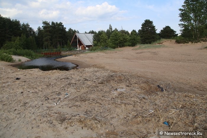 В Сестрорецке одним устьем реки стало меньше