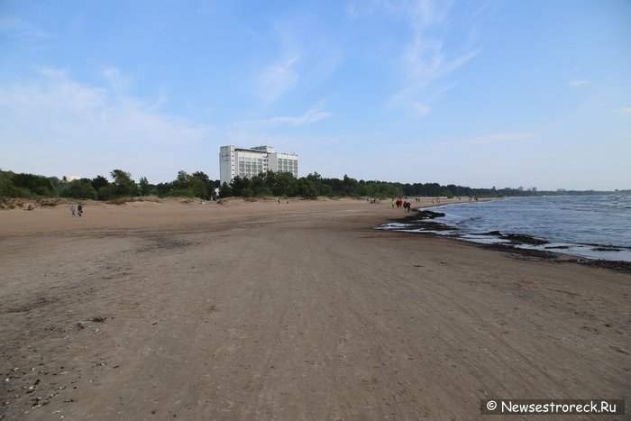 В Сестрорецке одним устьем реки стало меньше В Сестрорецке одним устьем реки стало меньше