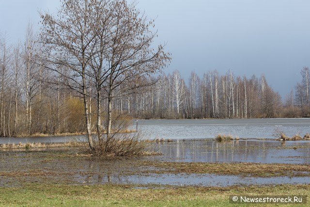 Озеро Разлив ожидает экологическое обследование за 14 млн рублей