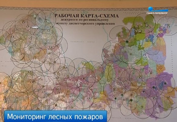 Лесные массивы Петербурга оборудуют системой видеомониторинга
