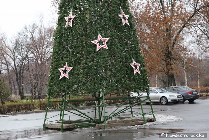 В Сестрорецке ставят новогодние ёлки