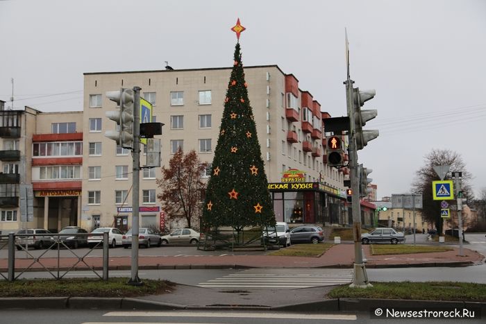 В Сестрорецке ставят новогодние ёлки