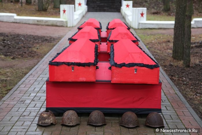 В Сестрорецке захоронили останки 28 советских солдат В Сестрорецке захоронили останки 28 советских солдат