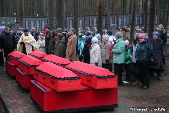 В Сестрорецке захоронили останки 28 советских солдат В Сестрорецке захоронили останки 28 советских солдат