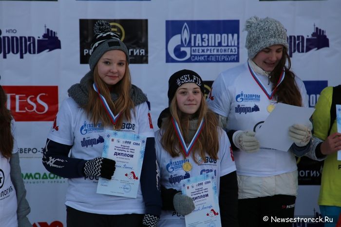 В Сестрорецке прошел «Snow Volley Christmas – 2016» В Сестрорецке прошел «Snow Volley Christmas – 2016»