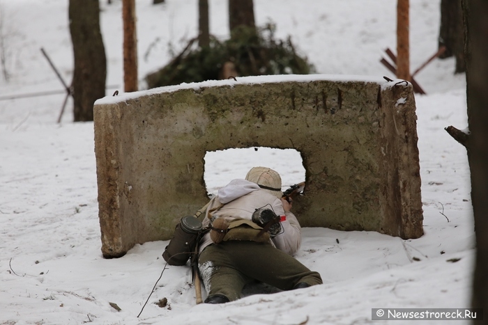 В Сестрорецке состоялась военно-историческая реконструкция "Западный фронт"