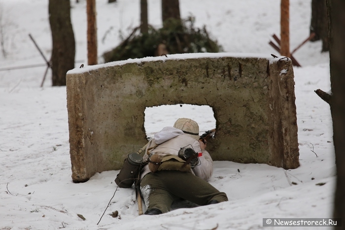 В Сестрорецке состоялась военно-историческая реконструкция "Западный фронт" В Сестрорецке состоялась военно-историческая реконструкция "Западный фронт"