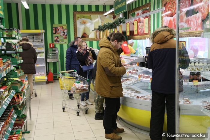 Активисты движения «Хрюши против» провели рейд в Сестрорецке