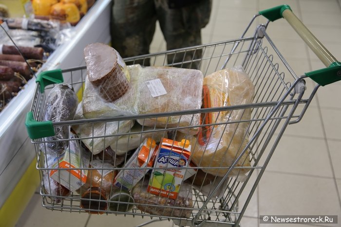 Активисты движения «Хрюши против» провели рейд в Сестрорецке Активисты движения «Хрюши против» провели рейд в Сестрорецке