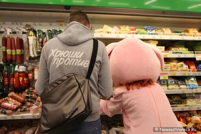 Активисты движения «Хрюши против» провели рейд в Сестрорецке Активисты движения «Хрюши против» провели рейд в Сестрорецке