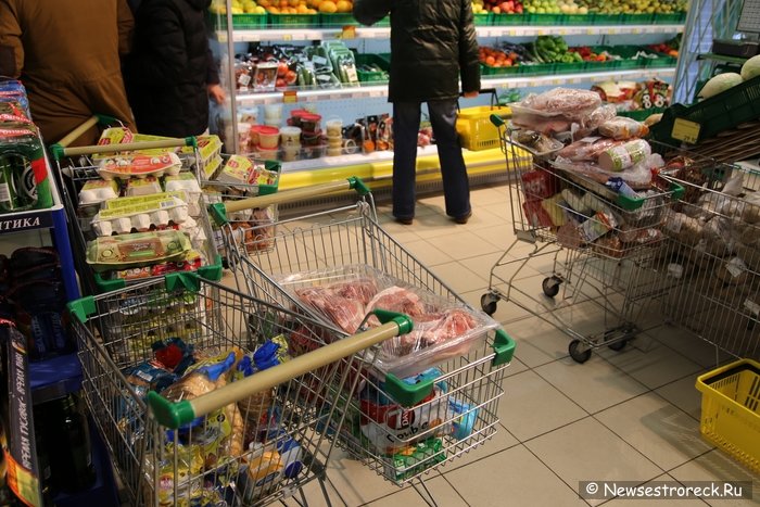 Активисты движения «Хрюши против» провели рейд в Сестрорецке Активисты движения «Хрюши против» провели рейд в Сестрорецке
