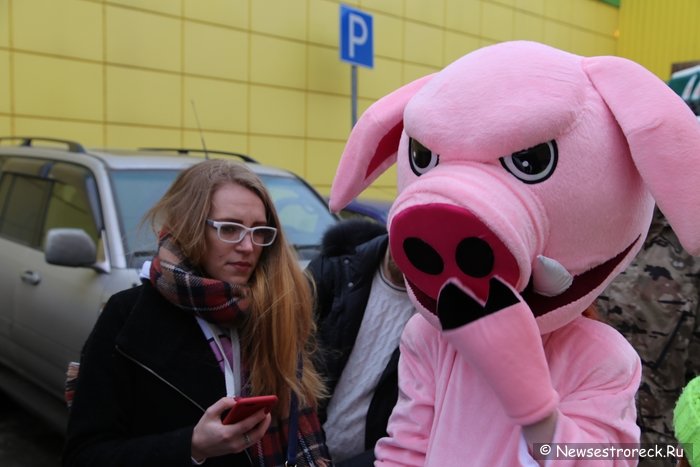 Активисты движения «Хрюши против» провели рейд в Сестрорецке