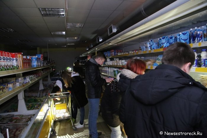 Активисты движения «Хрюши против» провели рейд в Сестрорецке Активисты движения «Хрюши против» провели рейд в Сестрорецке