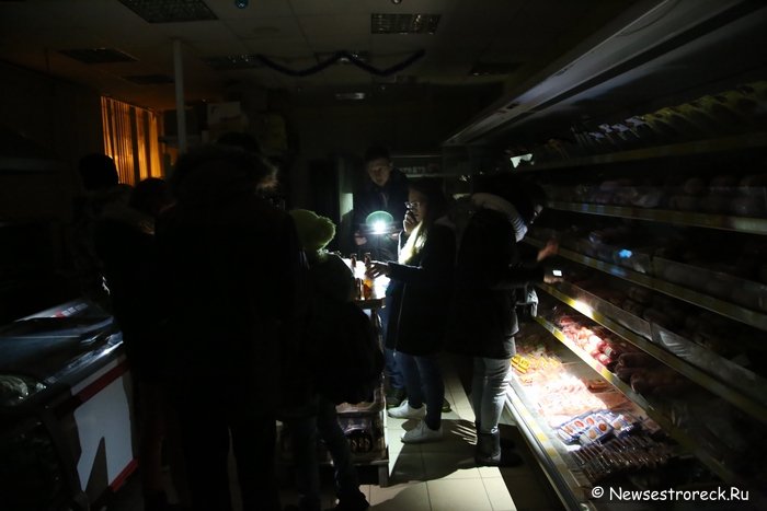 Активисты движения «Хрюши против» провели рейд в Сестрорецке Активисты движения «Хрюши против» провели рейд в Сестрорецке