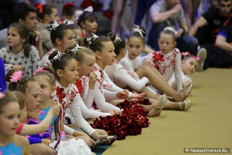 Турнир по черлидингу «CHEER OPEN - 2016» прошел в Сестрорецке Турнир по черлидингу «CHEER OPEN - 2016» прошел в Сестрорецке