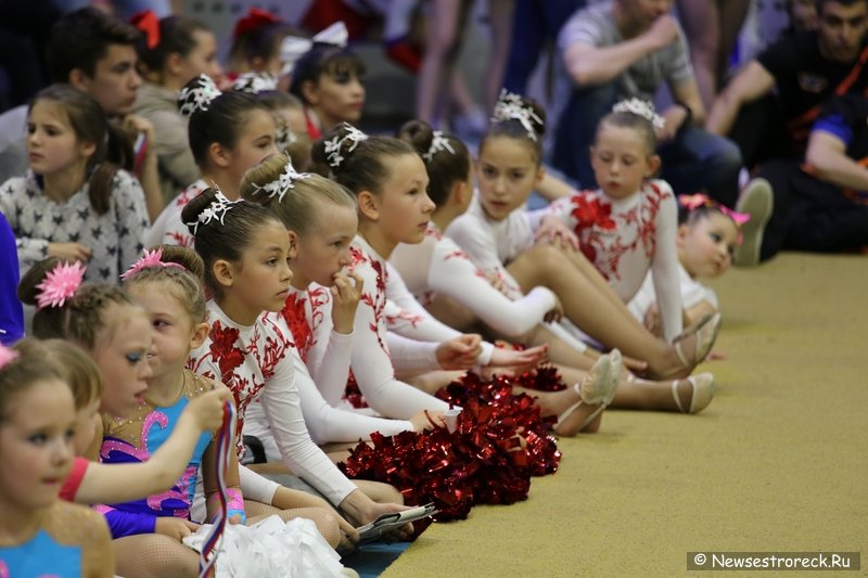 Турнир по черлидингу «CHEER OPEN - 2016» прошел в Сестрорецке