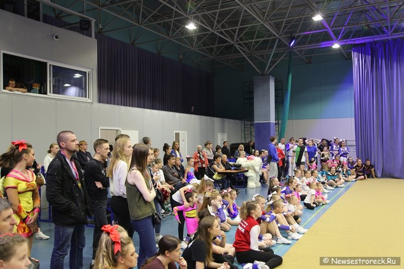 Турнир по черлидингу «CHEER OPEN - 2016» прошел в Сестрорецке Турнир по черлидингу «CHEER OPEN - 2016» прошел в Сестрорецке