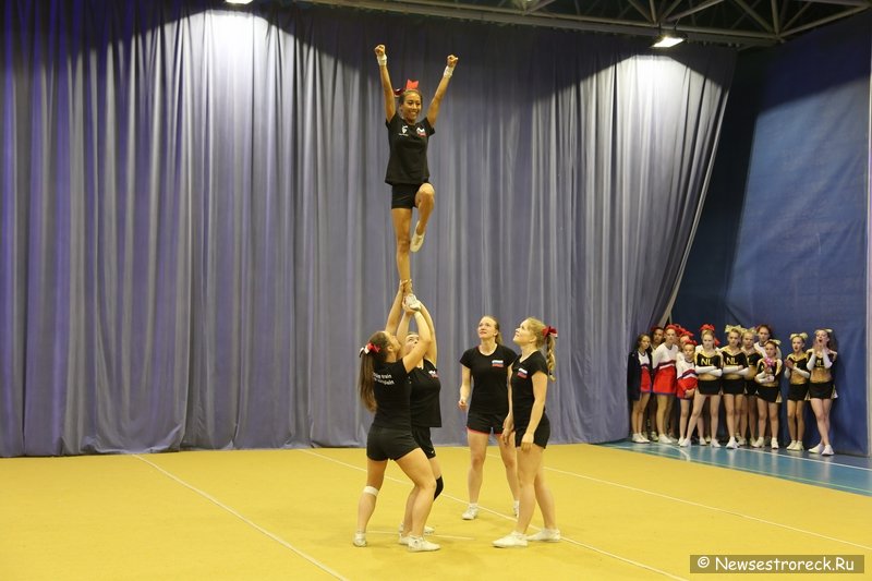 Турнир по черлидингу «CHEER OPEN - 2016» прошел в Сестрорецке Турнир по черлидингу «CHEER OPEN - 2016» прошел в Сестрорецке