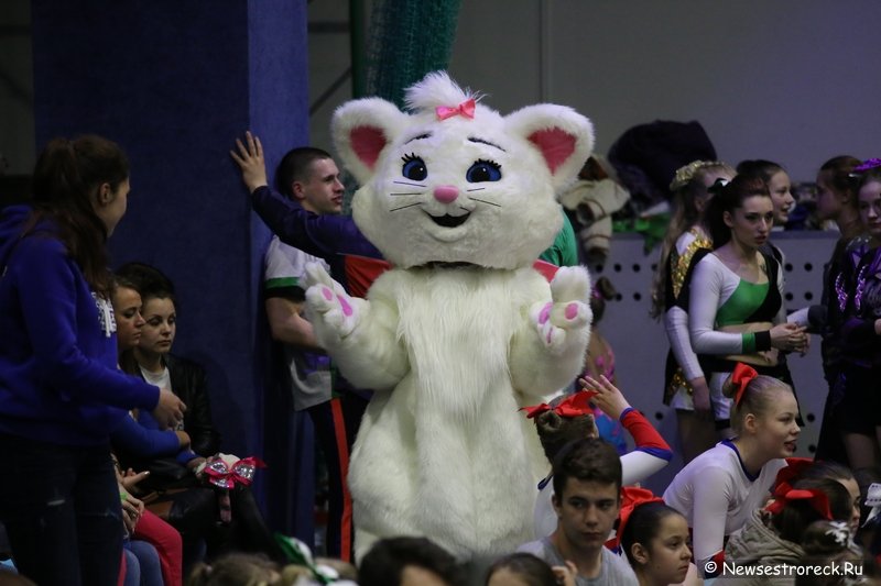 Турнир по черлидингу «CHEER OPEN - 2016» прошел в Сестрорецке Турнир по черлидингу «CHEER OPEN - 2016» прошел в Сестрорецке