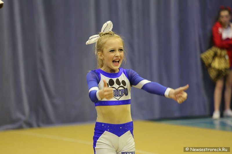 Турнир по черлидингу «CHEER OPEN - 2016» прошел в Сестрорецке Турнир по черлидингу «CHEER OPEN - 2016» прошел в Сестрорецке