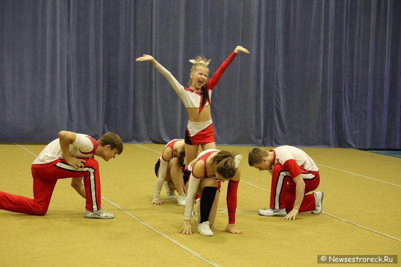 Турнир по черлидингу «CHEER OPEN - 2016» прошел в Сестрорецке Турнир по черлидингу «CHEER OPEN - 2016» прошел в Сестрорецке