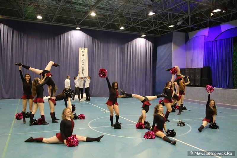 Турнир по черлидингу «CHEER OPEN - 2016» прошел в Сестрорецке Турнир по черлидингу «CHEER OPEN - 2016» прошел в Сестрорецке