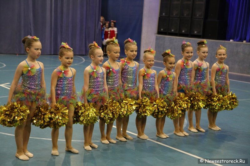 Турнир по черлидингу «CHEER OPEN - 2016» прошел в Сестрорецке Турнир по черлидингу «CHEER OPEN - 2016» прошел в Сестрорецке