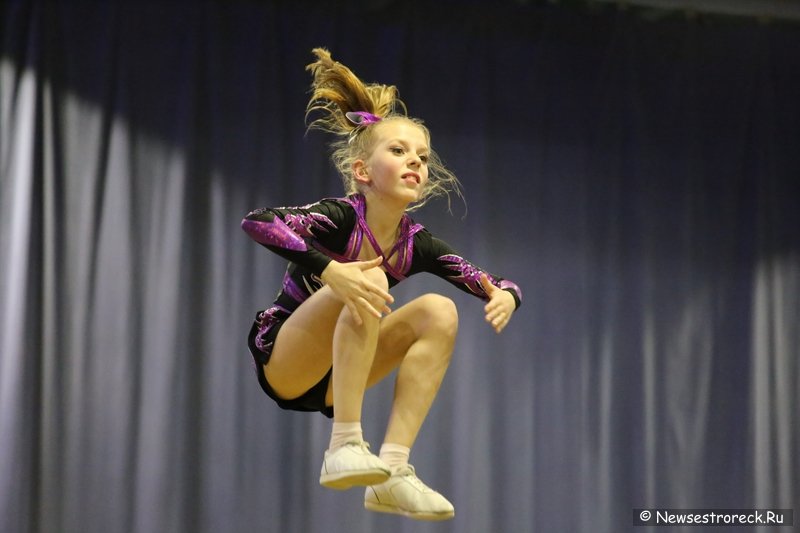 Турнир по черлидингу «CHEER OPEN - 2016» прошел в Сестрорецке Турнир по черлидингу «CHEER OPEN - 2016» прошел в Сестрорецке
