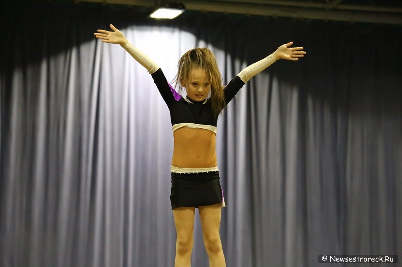 Турнир по черлидингу «CHEER OPEN - 2016» прошел в Сестрорецке Турнир по черлидингу «CHEER OPEN - 2016» прошел в Сестрорецке