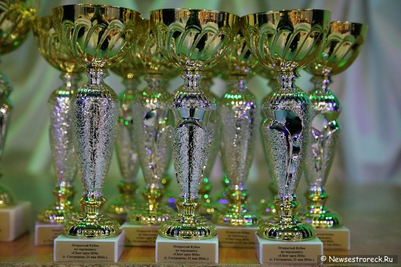 Турнир по черлидингу «CHEER OPEN - 2016» прошел в Сестрорецке Турнир по черлидингу «CHEER OPEN - 2016» прошел в Сестрорецке