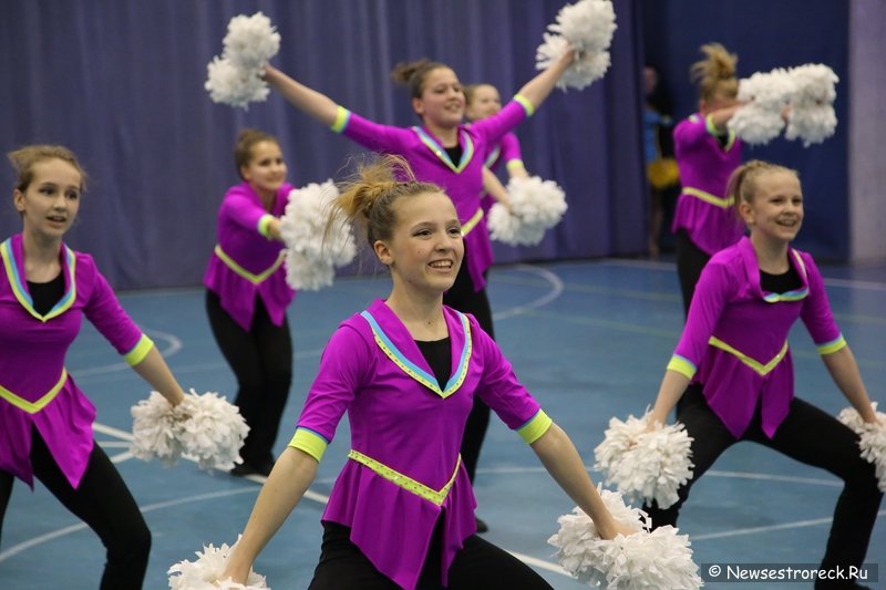 Турнир по черлидингу «CHEER OPEN - 2016» прошел в Сестрорецке Турнир по черлидингу «CHEER OPEN - 2016» прошел в Сестрорецке