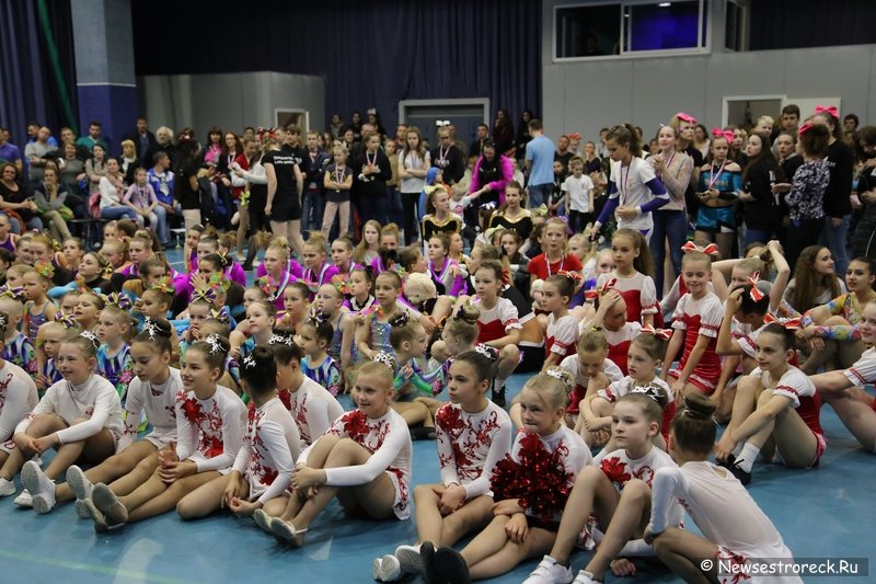 Турнир по черлидингу «CHEER OPEN - 2016» прошел в Сестрорецке