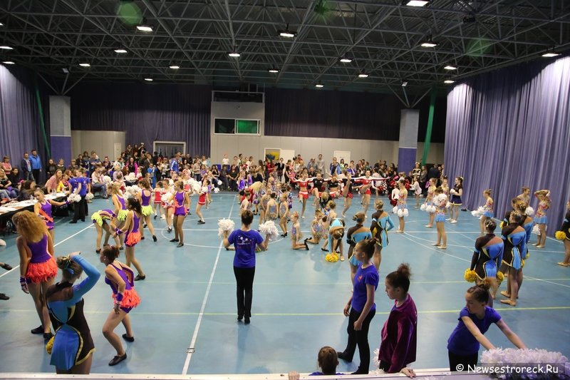 Турнир по черлидингу «CHEER OPEN - 2016» прошел в Сестрорецке Турнир по черлидингу «CHEER OPEN - 2016» прошел в Сестрорецке