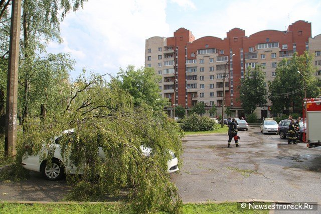 На ул.Токарева упавшее дерево придавило две машины